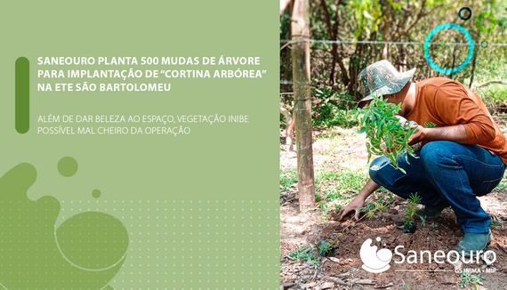 SANEOURO PLANTA 500 MUDAS DE ÁRVORE PARA IMPLANTAÇÃO DE "CORTINA ARBÓREA" NA ETE SÃO BARTOLOMEU